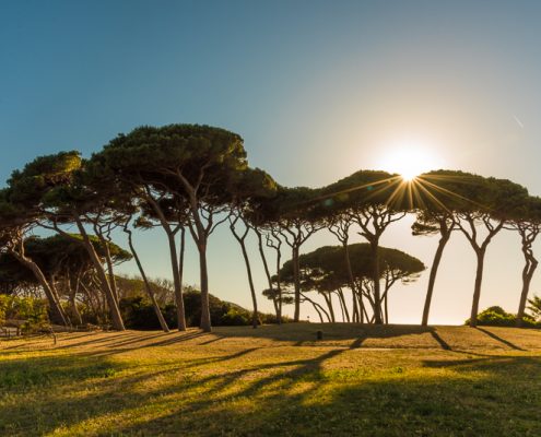 Italia, Toscana, Baratti, tipico tramonto in Maremma