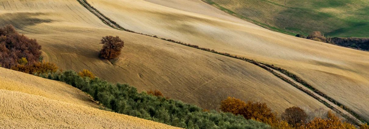 Val D'Orcia in southern Tuscany, Unesco Worldheritage site with beautiful sceneries