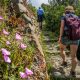 hiking and trekking itineraries in italy