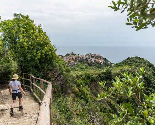 Trail to Corniglia, Cinque Terre National park