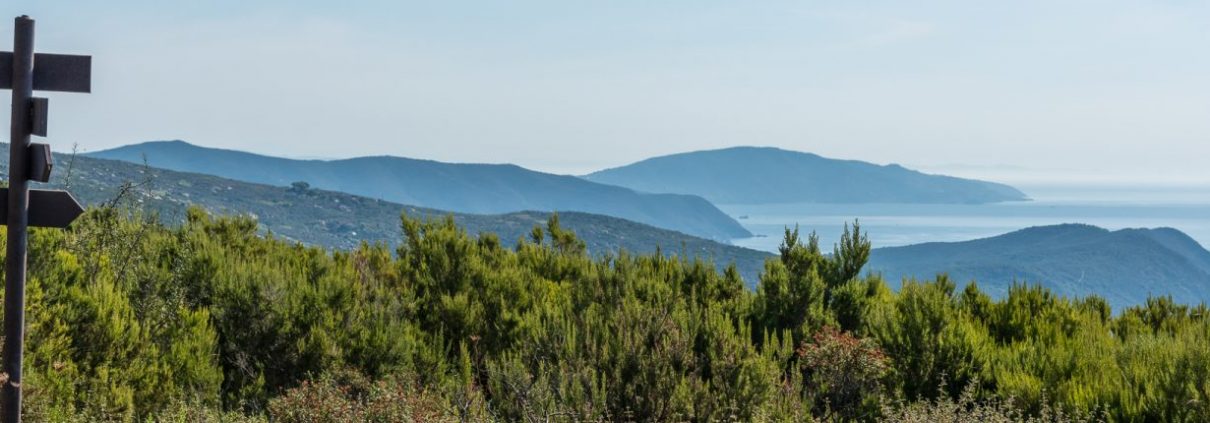 Amazing landscapes in Elba- Italy