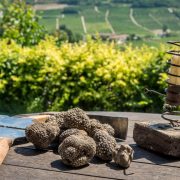 Truffle search in Piedmont- Monferrato- Italy