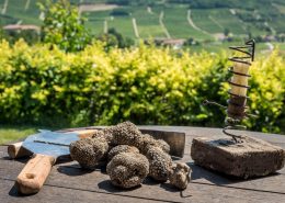 Truffle search in Piedmont- Monferrato- Italy