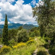 Hikings with spectacular views- West Liguria & French Alps- Italy